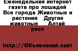 Еженедельная интернет - газета про лошадей - Все города Животные и растения » Другие животные   . Алтай респ.